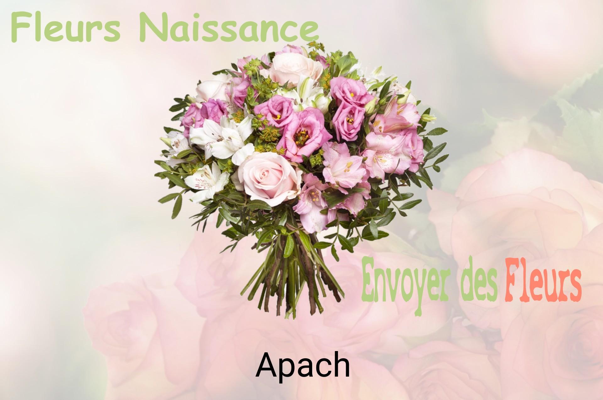 Bouquet de fleurs de naissance livré à Apach